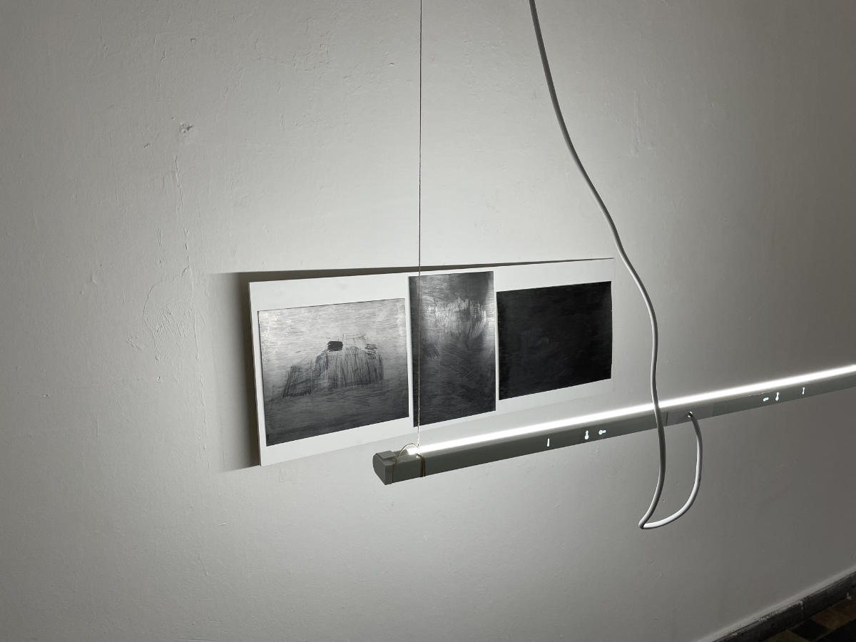 exhibition